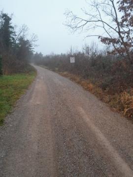 Ureditev gozdnih cest, Vir: Arhiv Občina Sežana
